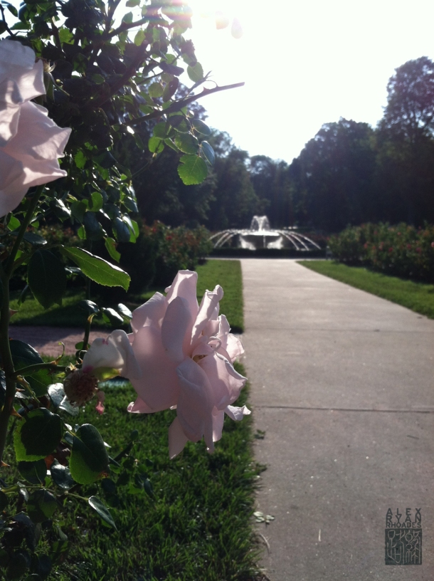 Laura Conyers Smith Municipal Rose Garden